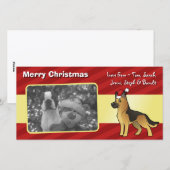 クリスマスドイツの羊飼い シーズンカード (正面/裏面)