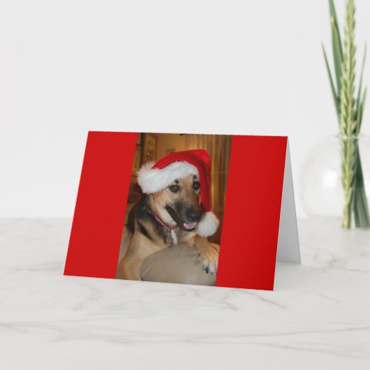 クリスマスドイツの羊飼い シーズンカード (正面)