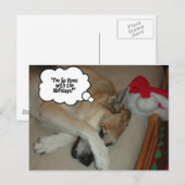 クリスマスドイツの羊飼い シーズンポストカード (正面/裏面)