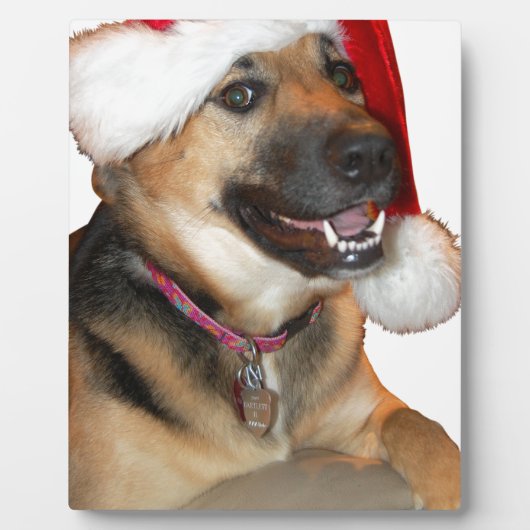 クリスマスドイツの羊飼い フォトプラーク (正面)
