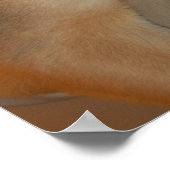 クリスマスドイツの羊飼い ポスター (角)