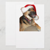 クリスマスドイツの羊飼い 便箋 (正面/裏面)