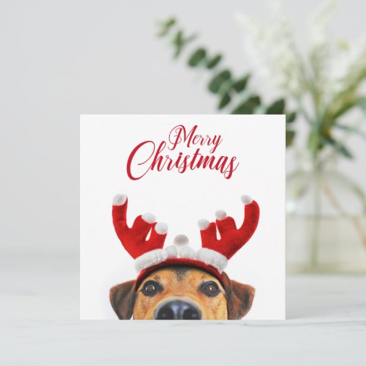 クリスマスドッグかわいいトナカイおもしろいアントラーヘッドバンド 招待状 (スタンド正面)