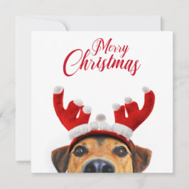 クリスマスドッグかわいいトナカイおもしろいアントラーヘッドバンド 招待状