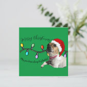 クリスマスドッグカード シーズンカード (スタンド正面)