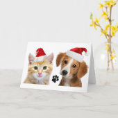 クリスマスドッグキャットカワイトペットクリスマス カード (黄色い花)