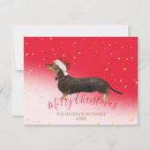 クリスマスドッグダシュント金ゴールド赤い季節の挨拶 (正面)