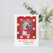 クリスマスドッグペットフォトシンプルフォトレッドホリデーフレーム シーズンポストカード (スタンド正面)