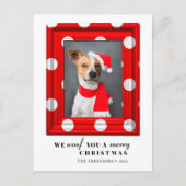 クリスマスドッグペットフォトシンプルフォトレッドホリデーフレーム シーズンポストカード (正面)