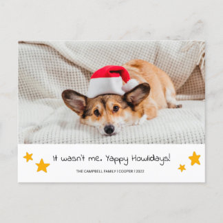クリスマスドッグ写真はがき ポストカード