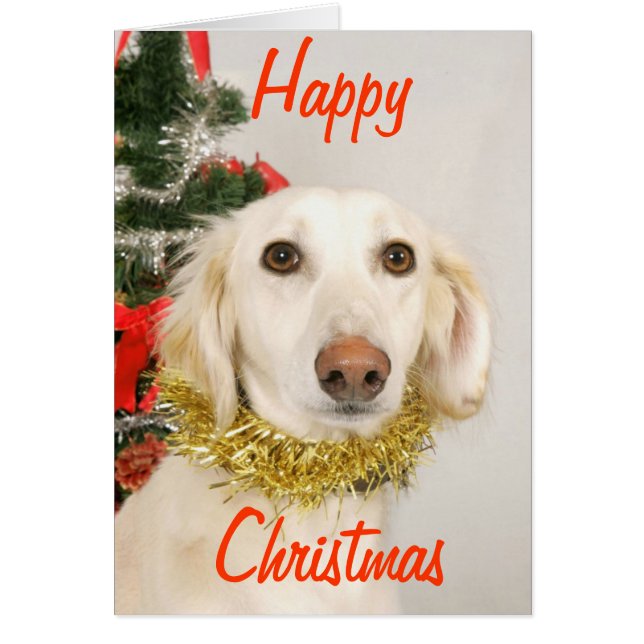 クリスマスドッグ2 (正面)