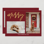 クリスマスドモダンッグの写真 シーズンカード (正面/裏面)