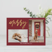 クリスマスドモダンッグの写真 シーズンカード (スタンド正面)