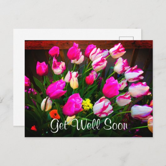 クリスマスドリームとアフェア#1 早く治りますように ポストカード (正面/裏面)