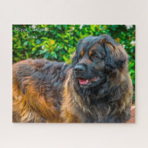 クリスマスナナ