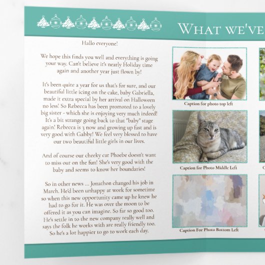 クリスマスニュースレターのレビューの年の写真霜の降りた 三つ折りクリスマスカード (内部最初)