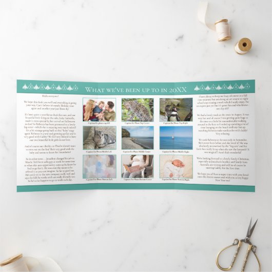 クリスマスニュースレターのレビューの年の写真霜の降りた 三つ折りクリスマスカード (内部)