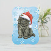 クリスマスニューファンドランド シーズンカード (スタンド正面)