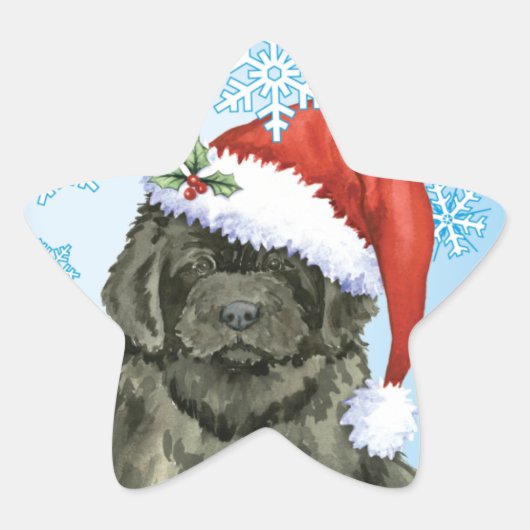 クリスマスニューファンドランド 星シール (正面)