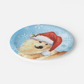 クリスマスノルウェーブフンド ペーパープレート (アングル)