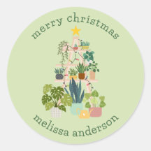 クリスマスハウスプラント