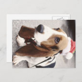 クリスマスハウンド シーズンポストカード (正面/裏面)