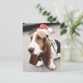 クリスマスハウンド シーズンポストカード (スタンド正面)