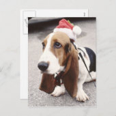 クリスマスハウンド シーズンポストカード (正面/裏面)