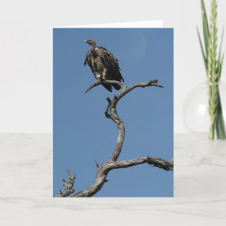 クリスマスハゲワシ シーズンカード