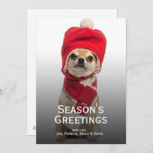 クリスマスハットとスカーフを着用したチワワ シーズンカード (正面/裏面)