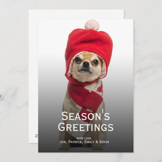 クリスマスハットとスカーフを着用したチワワ シーズンカード (正面/裏面)
