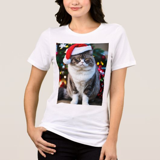 クリスマスハットの不機嫌そうな太い猫：フェスティバルおもしろい トライブレンドＴシャツ (正面)