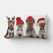 クリスマスハットを持つ可愛いヨークシャーのテリア犬 ランバークッション (正面)