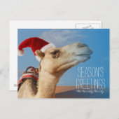 クリスマスハット付きラクダ シーズンポストカード (正面/裏面)