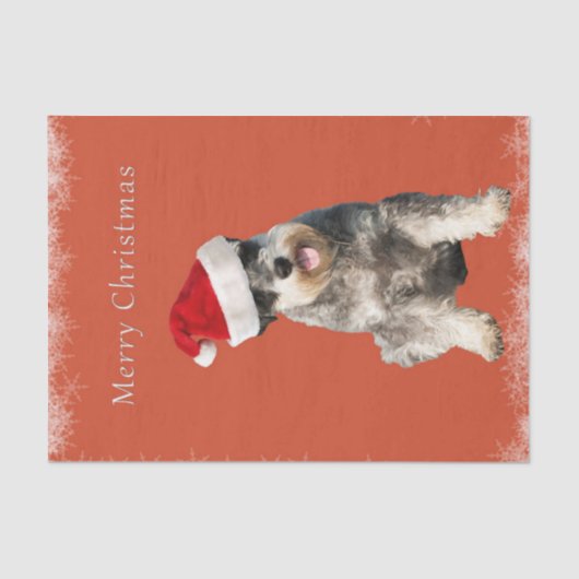 クリスマスハット付シュナウザー 薄葉紙 (正面)