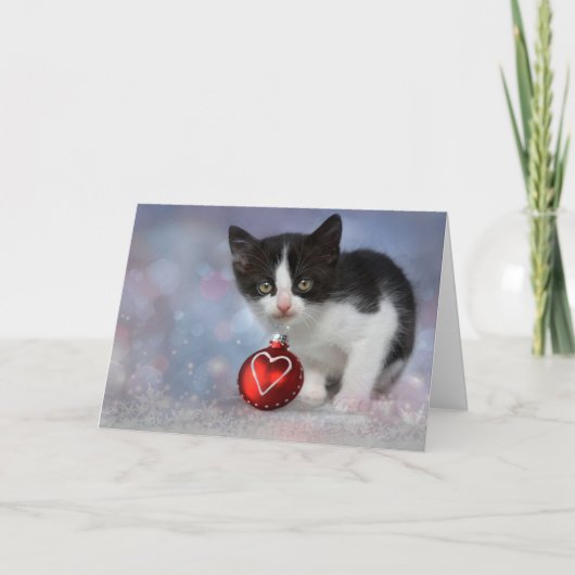 クリスマスハートオーナメント子猫 シーズンカード (正面)