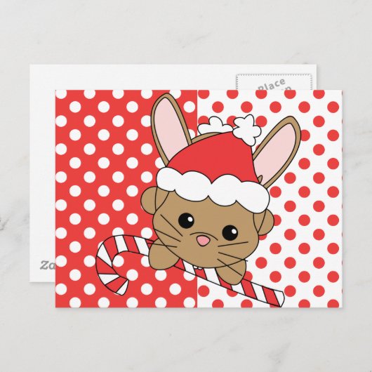 クリスマスバニー シーズンポストカード (正面/裏面)