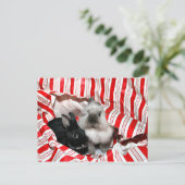 クリスマスバニー シーズンポストカード (スタンド正面)