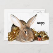 クリスマスバニー・ブーブー シーズンポストカード (正面/裏面)