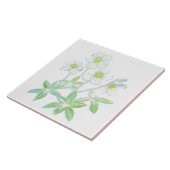 クリスマスバラヘレボラスニジェールイラストレーション タイル (側面)