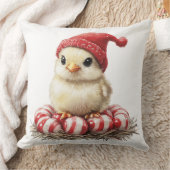 クリスマスバードオンペパーミント クッション (ブランケット)