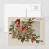 クリスマスバードソングバードホリー雪 シーズンポストカード (正面/裏面)