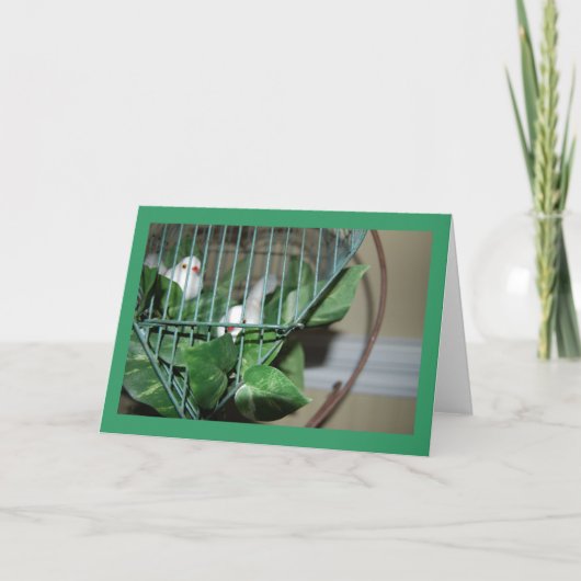 クリスマスバード シーズンカード (正面)