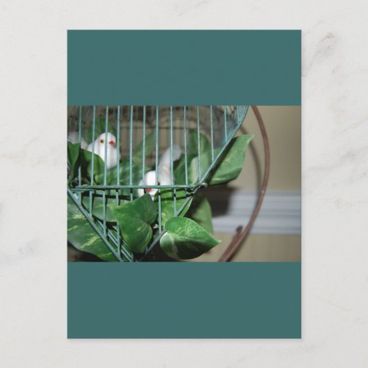 クリスマスバード シーズンポストカード (正面)