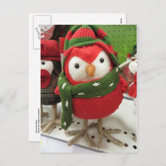 クリスマスバード シーズンポストカード (正面/裏面)