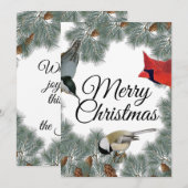 クリスマスバード（鳥）ショウジョウコウカンチョウヌサッチ《鳥》アメリカゴガラパイン シーズンカード (正面/裏面)