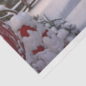 クリスマスバーン1デコページ紙 薄葉紙 (詳細)