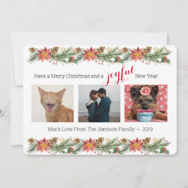 クリスマスパインとポインセティアス – 喜び