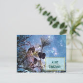 クリスマスパインのコーンと星空 シーズンポストカード (スタンド正面)