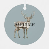 クリスマスパイングリーン素朴鹿の名前 メタルオーナメント (正面)